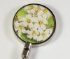 Wild Daisies